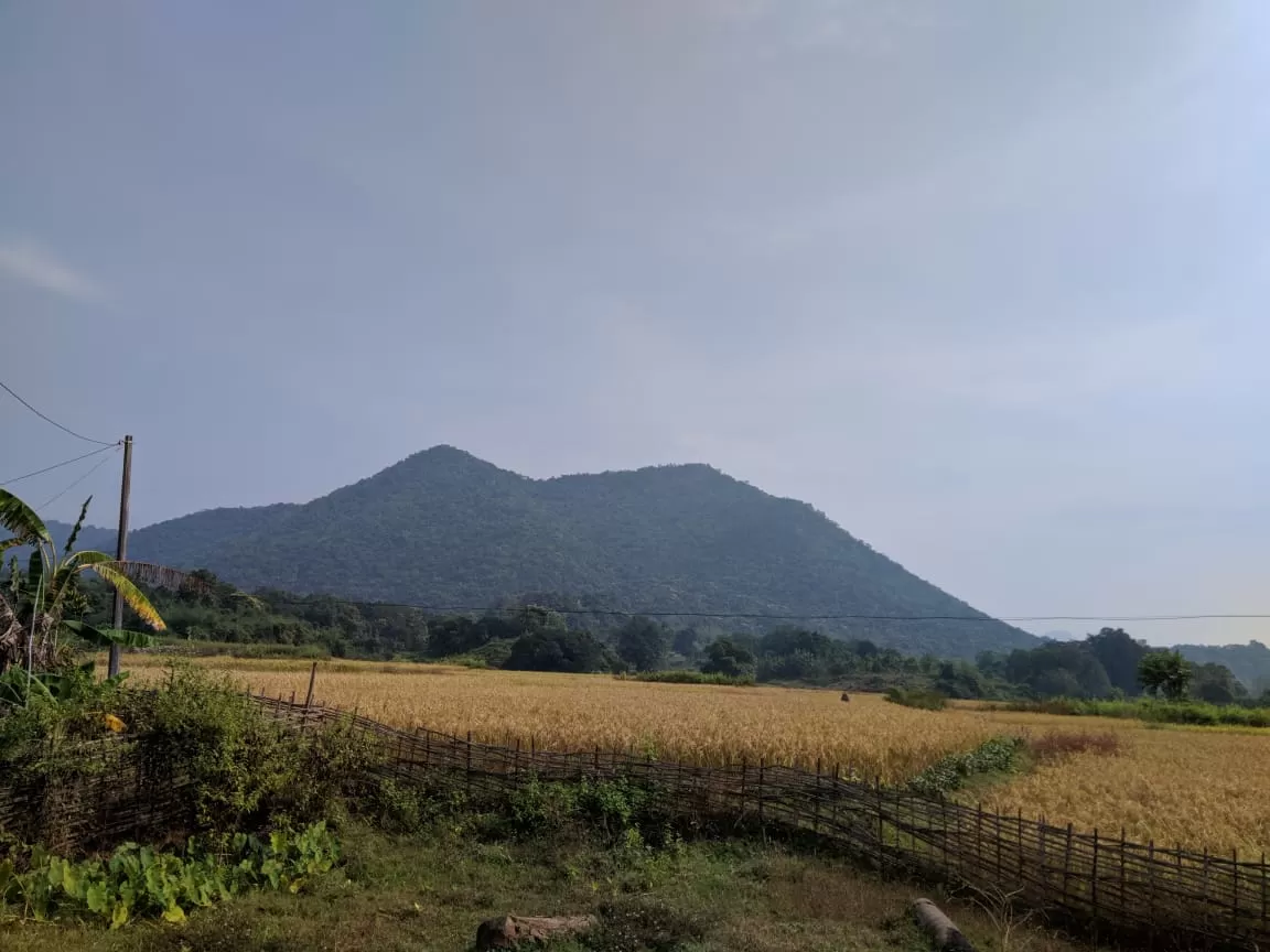 Photo of Deojhar By Shubhra Debnath