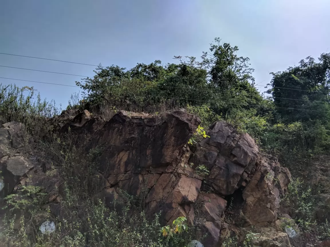 Photo of Deojhar By Shubhra Debnath