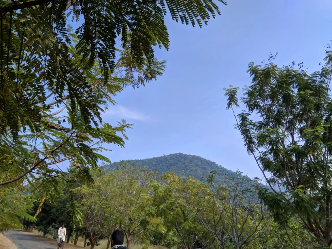 Photo of Deojhar By Shubhra Debnath