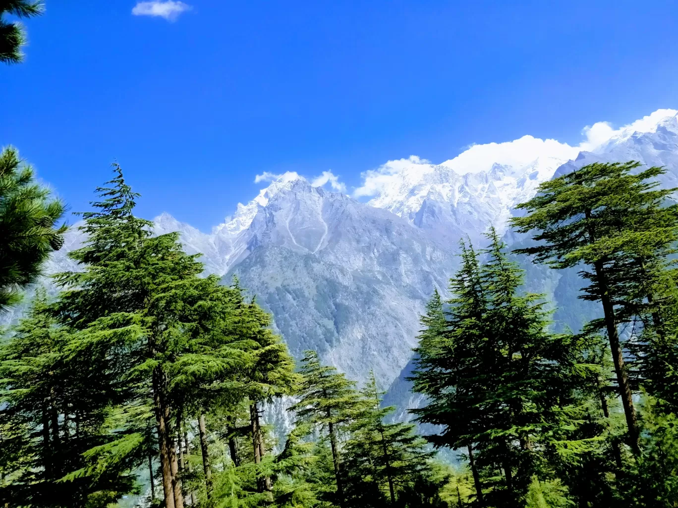 Photo of Kalpa By Shakti Lohan