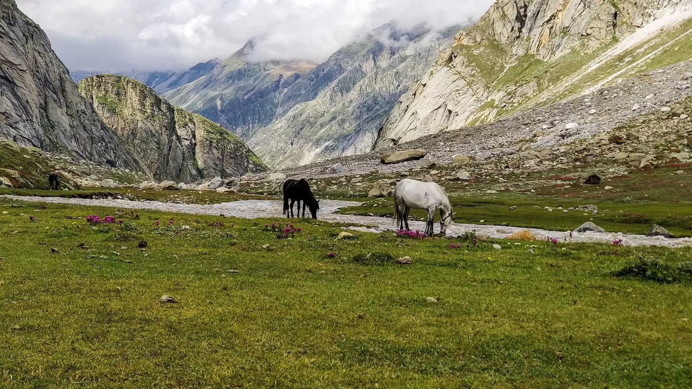 Photo of Hampta Pass Trek Camp Himalayan Mountain Sojourns By Moon Bohra