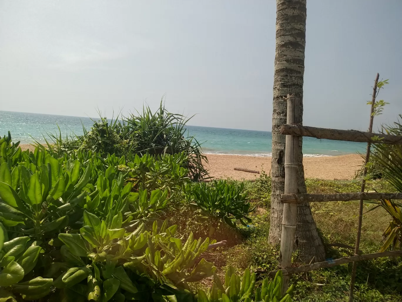 Photo of Bentota By Kiran Shriyan