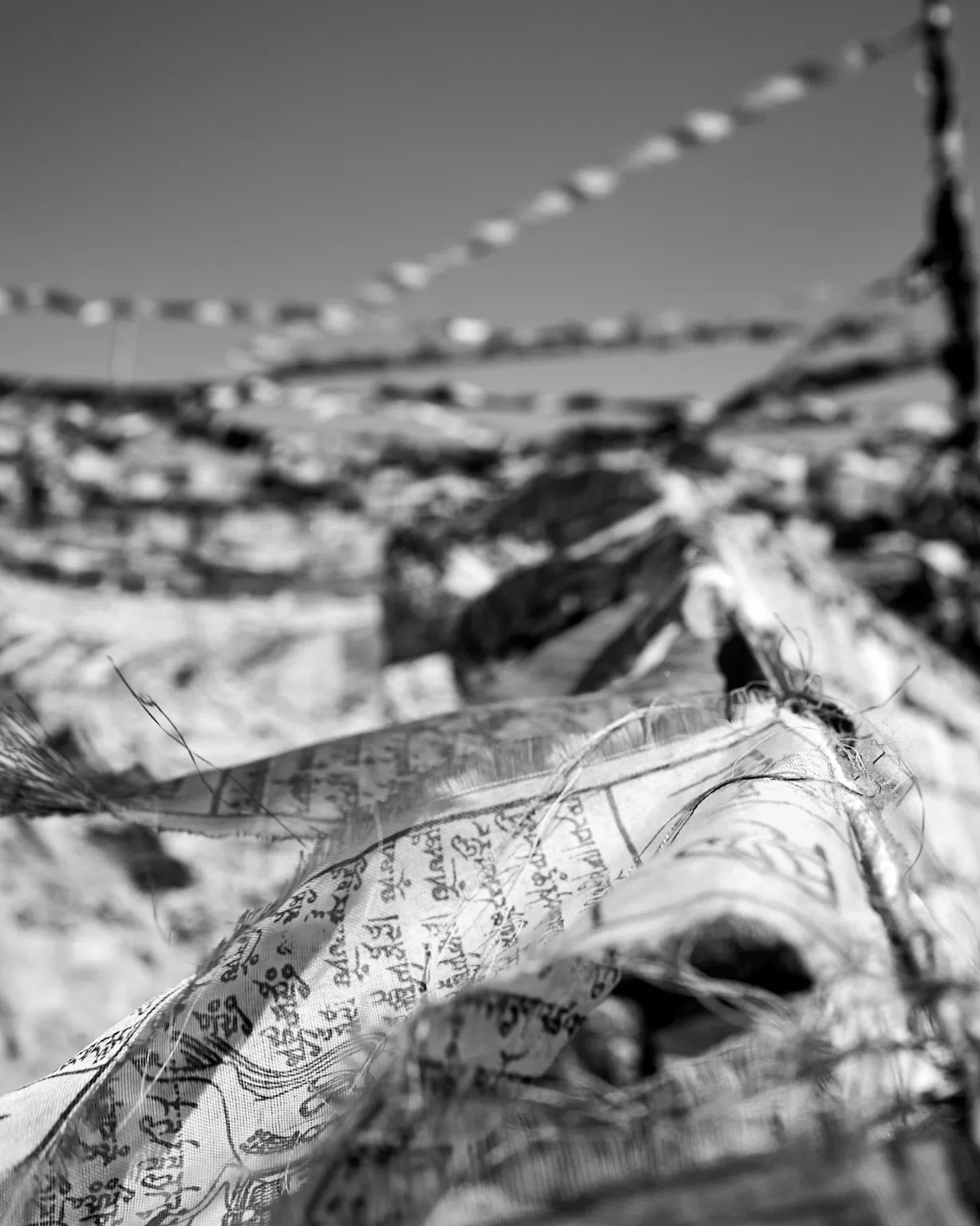 Photo of Ladakh By Siddharth Arora Siddology