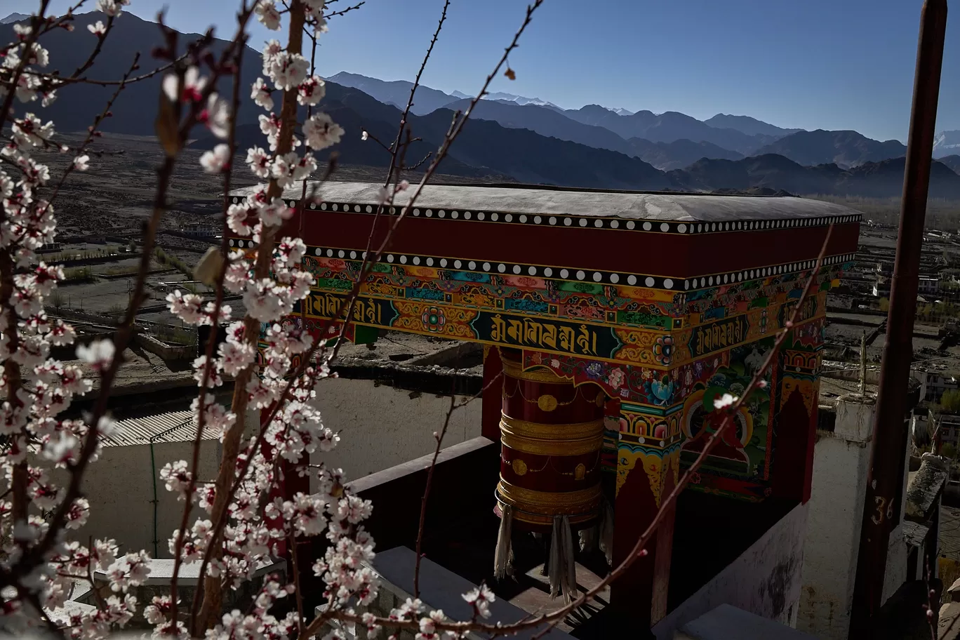 Photo of Ladakh By Siddharth Arora Siddology