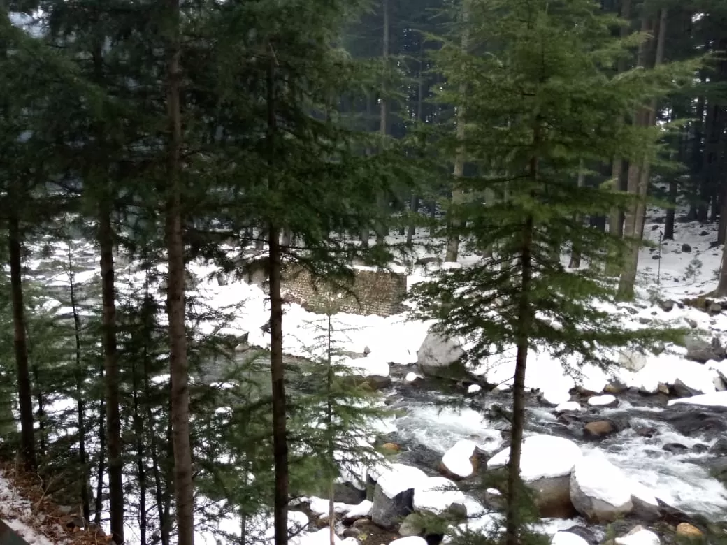 Photo of Manali Snow Point By Mohit singh