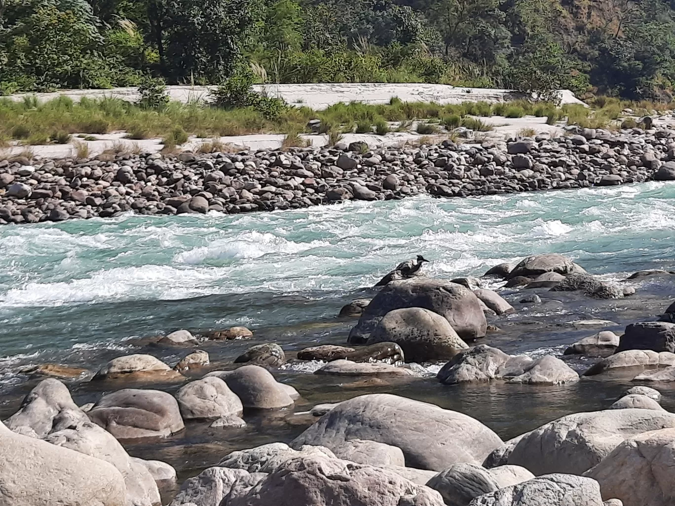 Photo of Rishikesh By Mohit singh