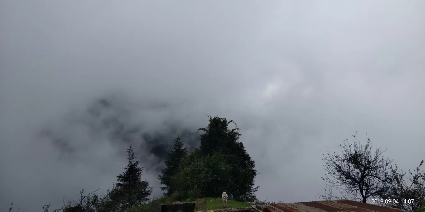 Photo of Dehradun By Manan Pawar