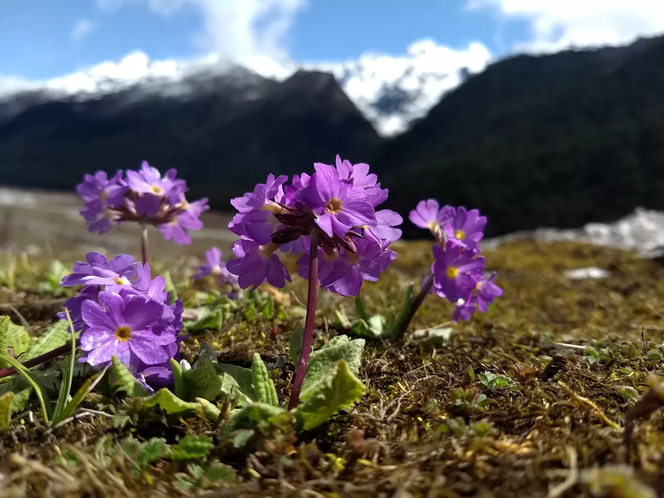 Photo of Sikkim By sanket kanchan 