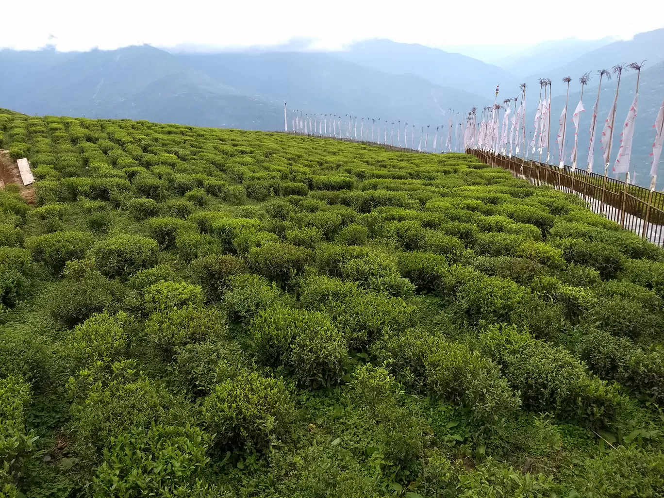 Photo of Sikkim By sanket kanchan 