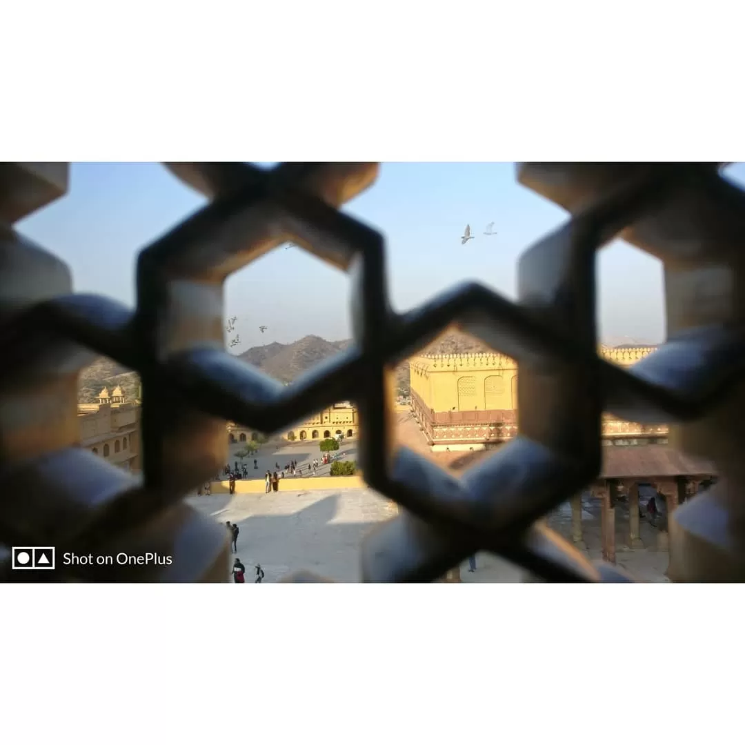 Photo of Amber Palace By Nitin Sharma