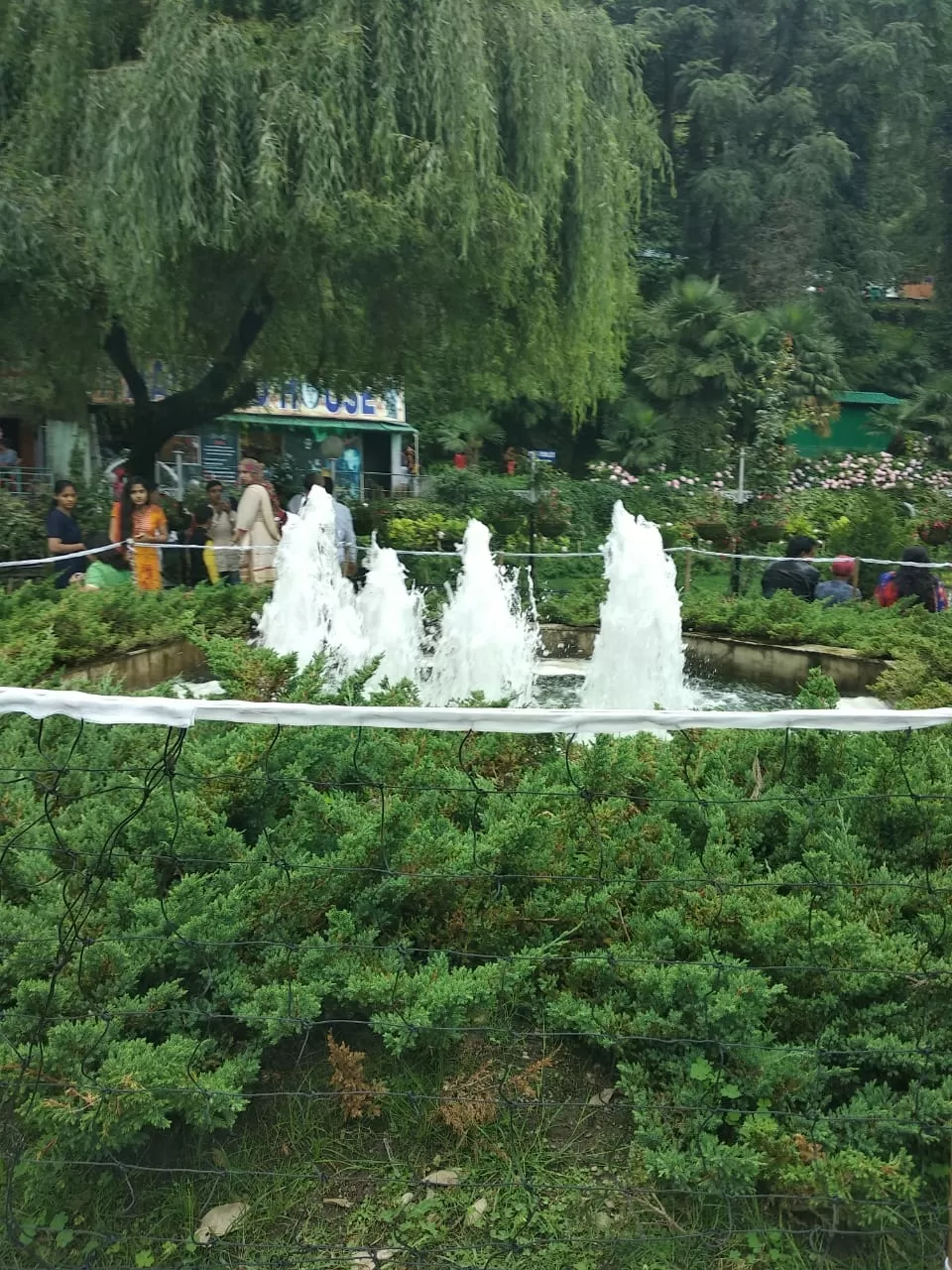 Photo of Mussoorie By Deepak Vikram Singh