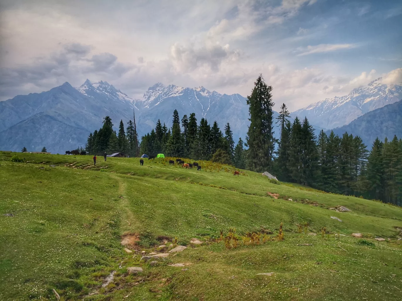 Photo of Pulga By arjunmk