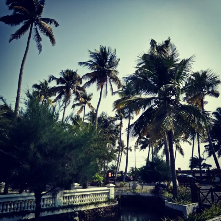 Photo of Cherai Beach - Munambam RdCheraiNorth Paravoor By Rajat Ray