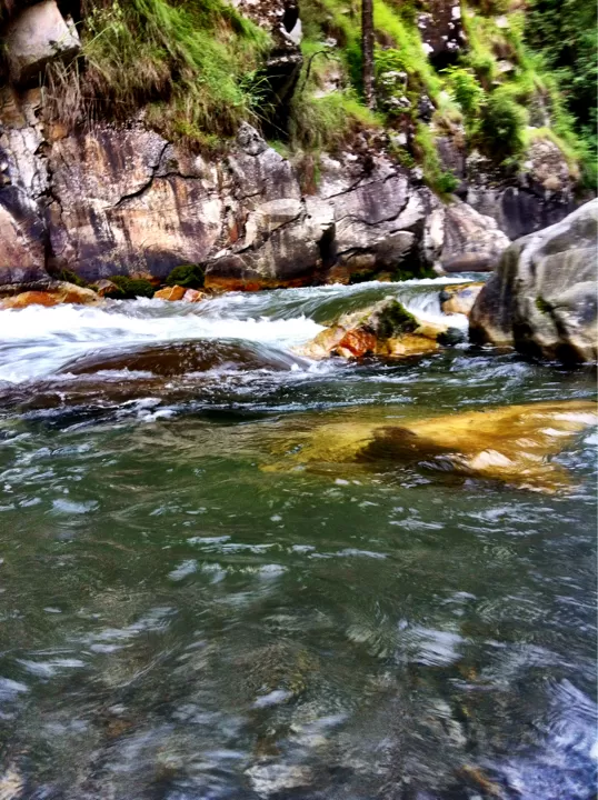 Photo of Rasol By kalpesh