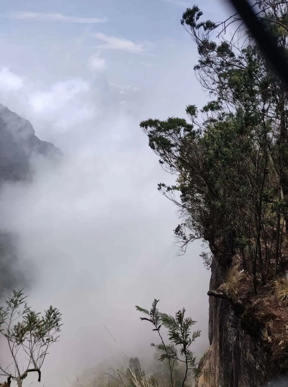 Photo of Kodaikanal By Radhika Narasimhan
