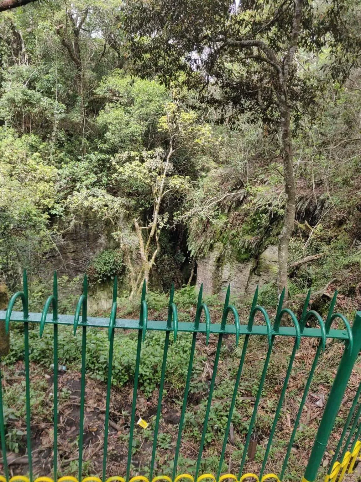 Photo of Kodaikanal By Radhika Narasimhan