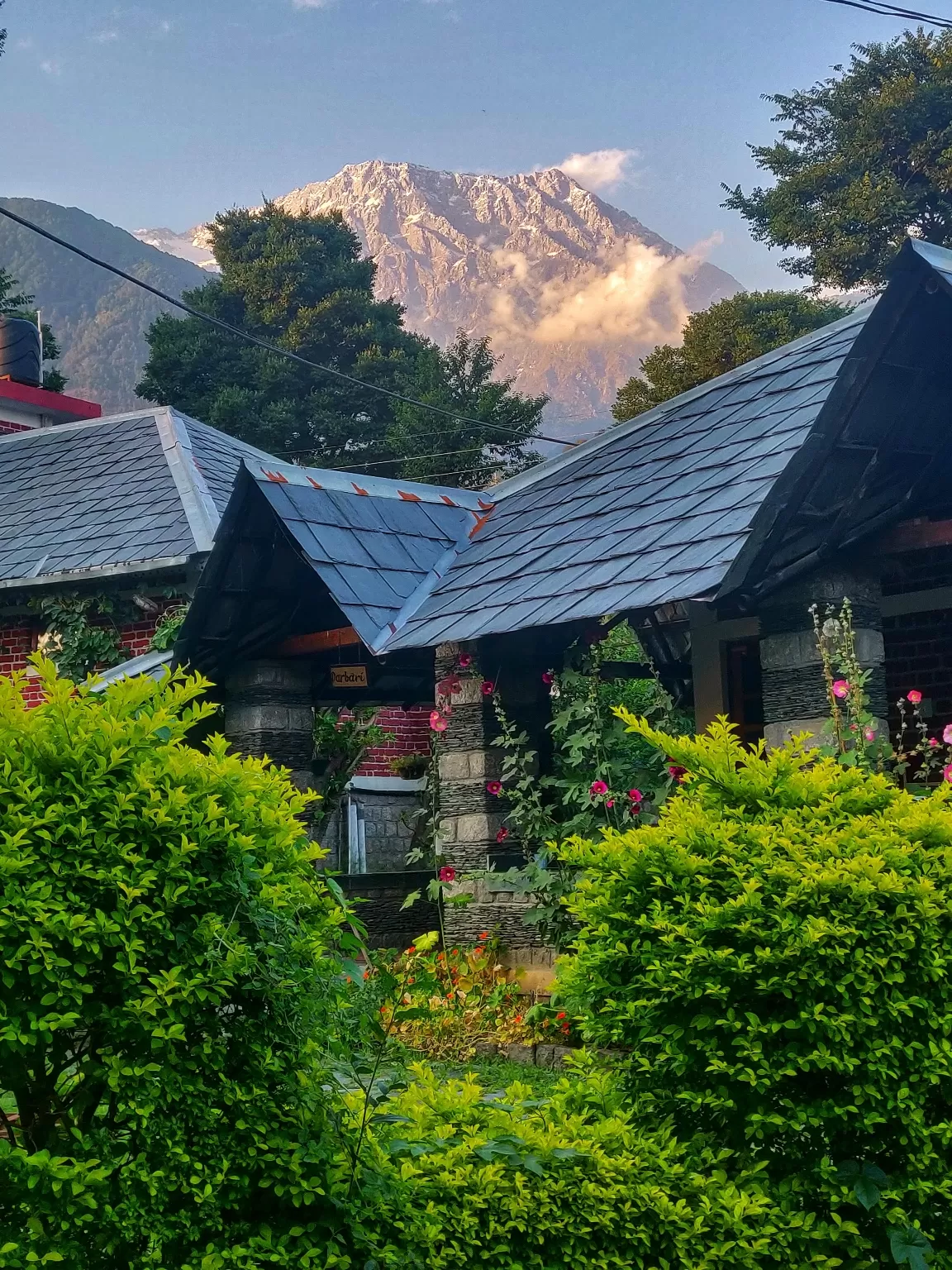 Photo of Rakkar By Shraddha Gosavi