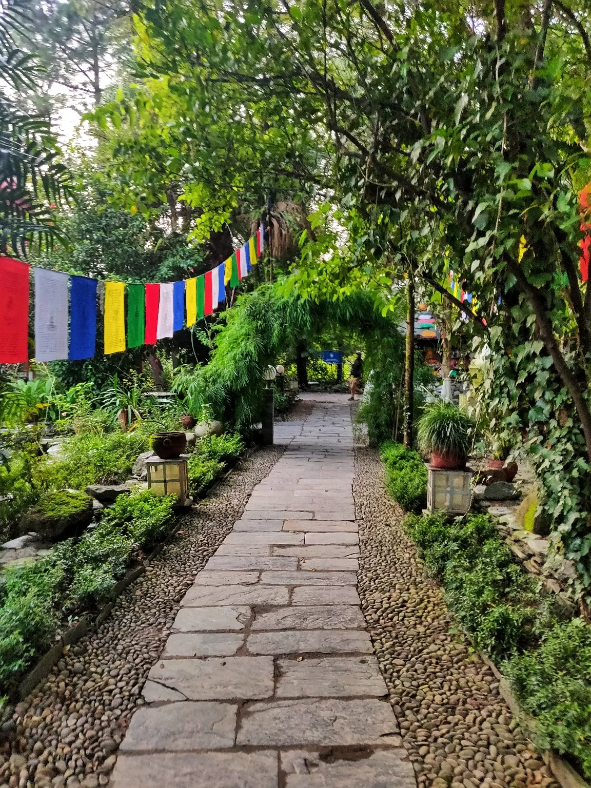 Photo of Dharamshala By Shraddha Gosavi