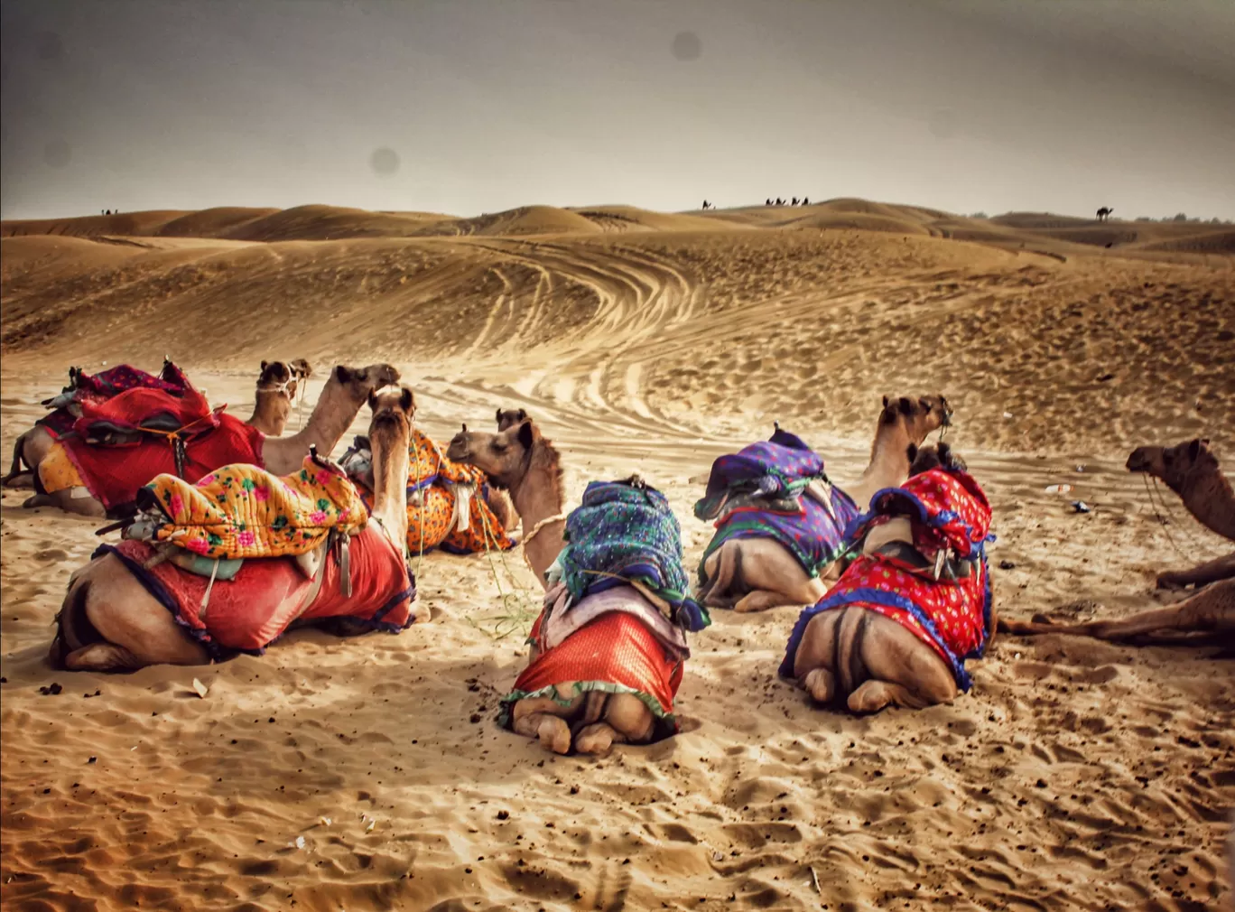 Photo of Jaisalmer By Sweety Kannoth
