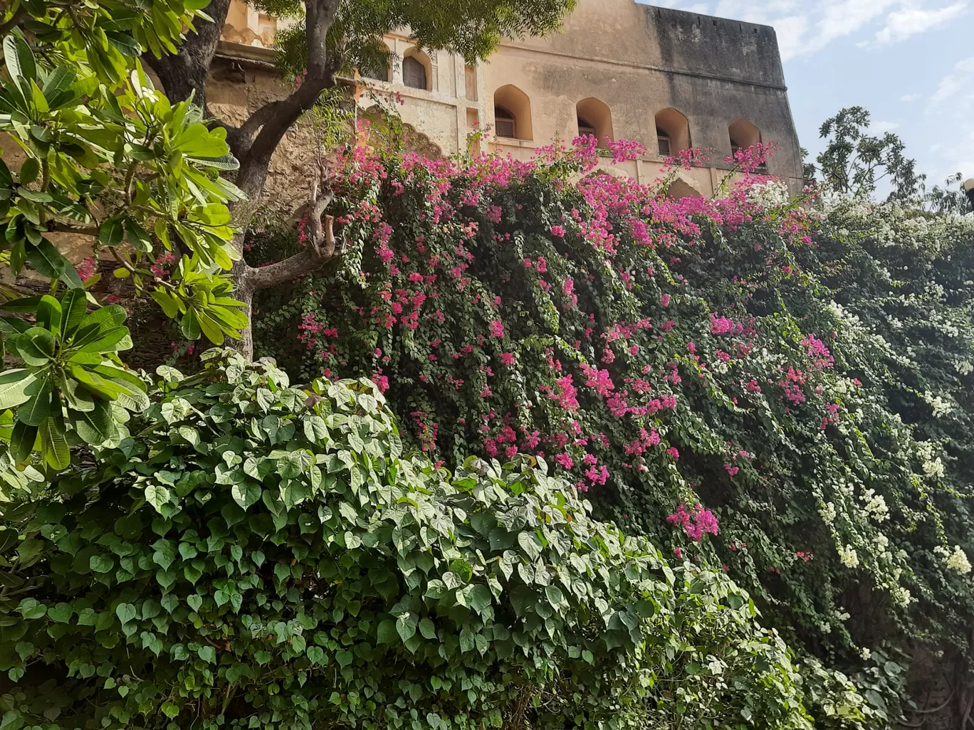 Photo of Neemrana Fort-Palace By Sweety Kannoth