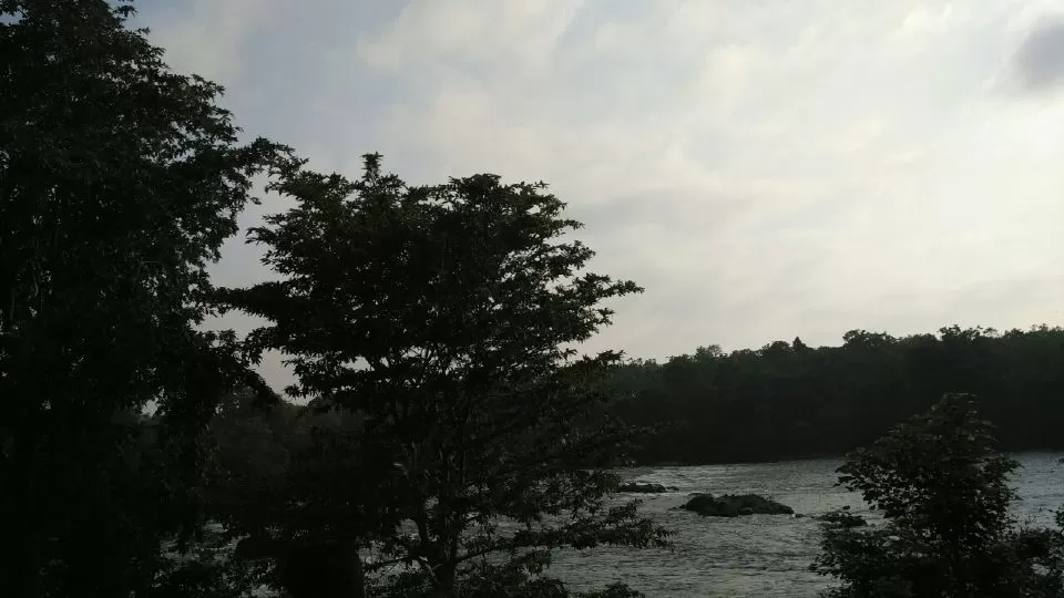 Photo of Bangur Nagar
Dandeli By NV Siddartha P