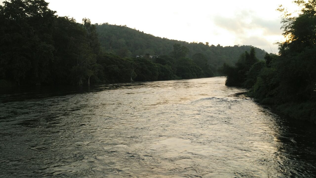 Photo of Jumping japang Dandeli By NV Siddartha P
