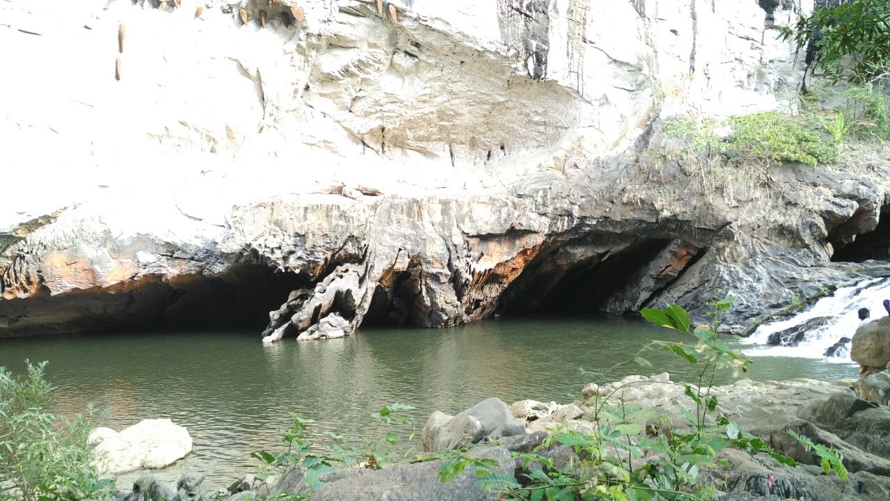 Photo of Jumping japang Dandeli By NV Siddartha P