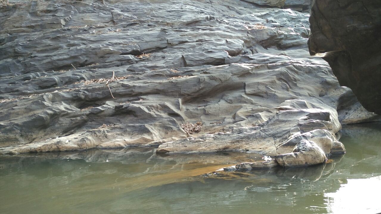 Photo of Jumping japang Dandeli By NV Siddartha P