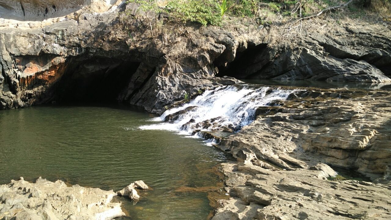 Photo of Jumping japang Dandeli By NV Siddartha P