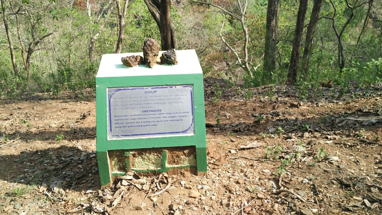 Photo of Jumping japang Dandeli By NV Siddartha P