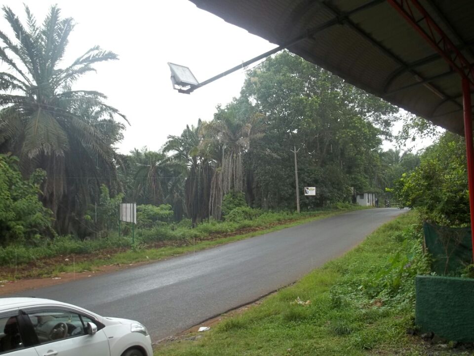 Photo of Mesmerizing Kerala By Roshni Das
