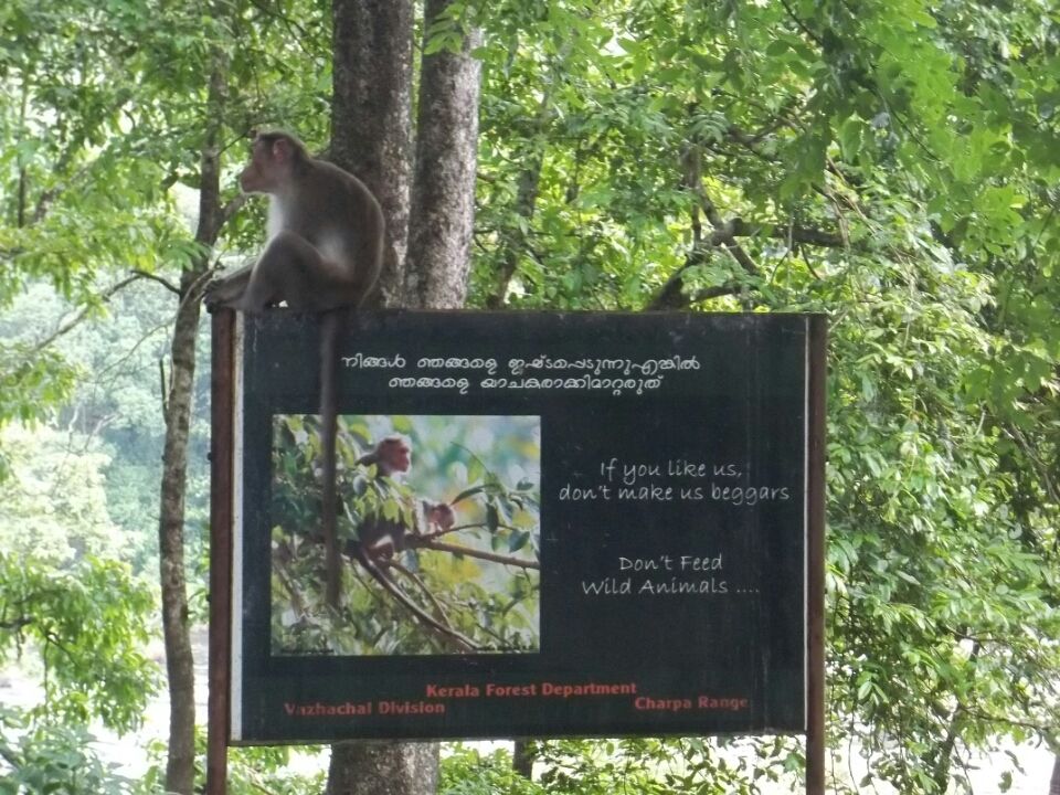 Photo of Mesmerizing Kerala By Roshni Das