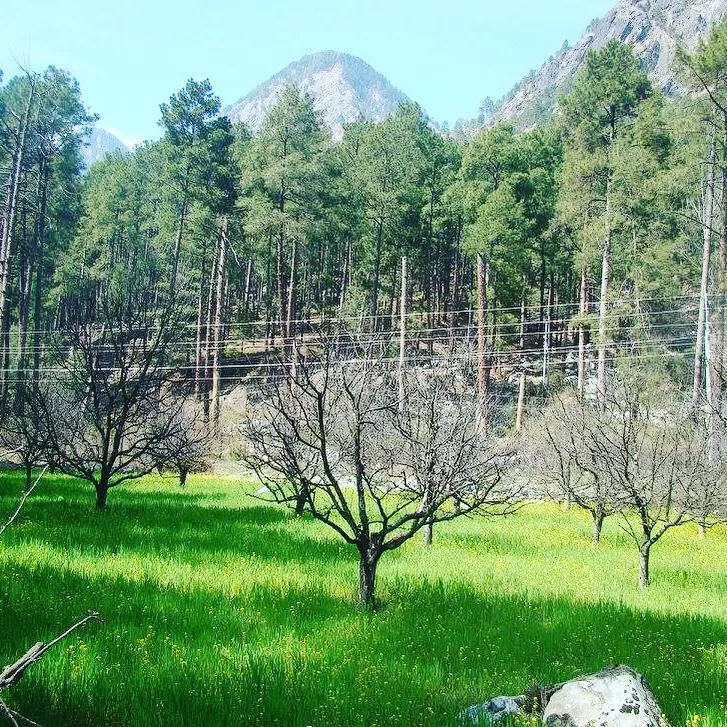 Photo of Kasol By Nilz