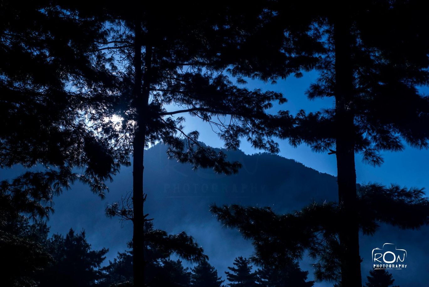 Photo of Colourful Bhutan By Subhajit Nag