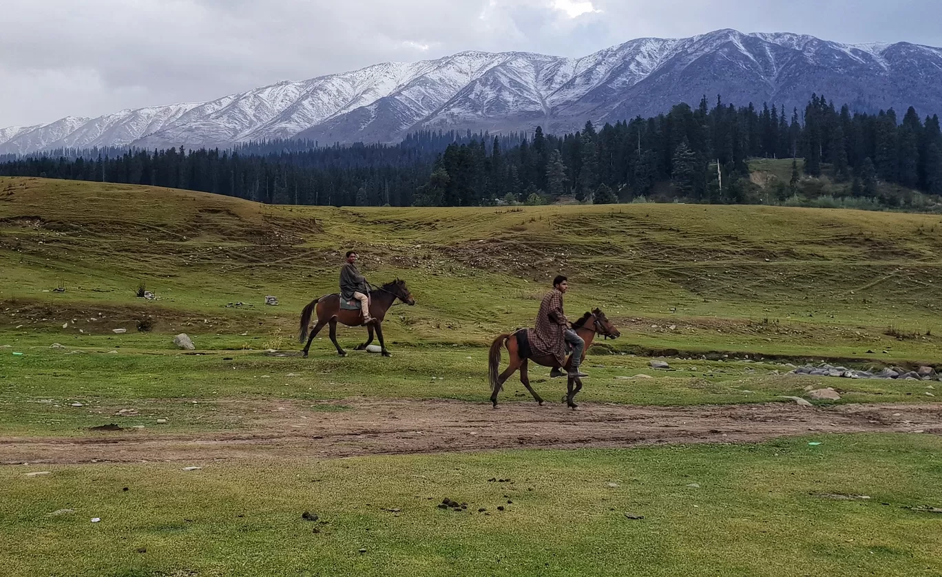 Photo of Gulmarg By Priyank Sharma
