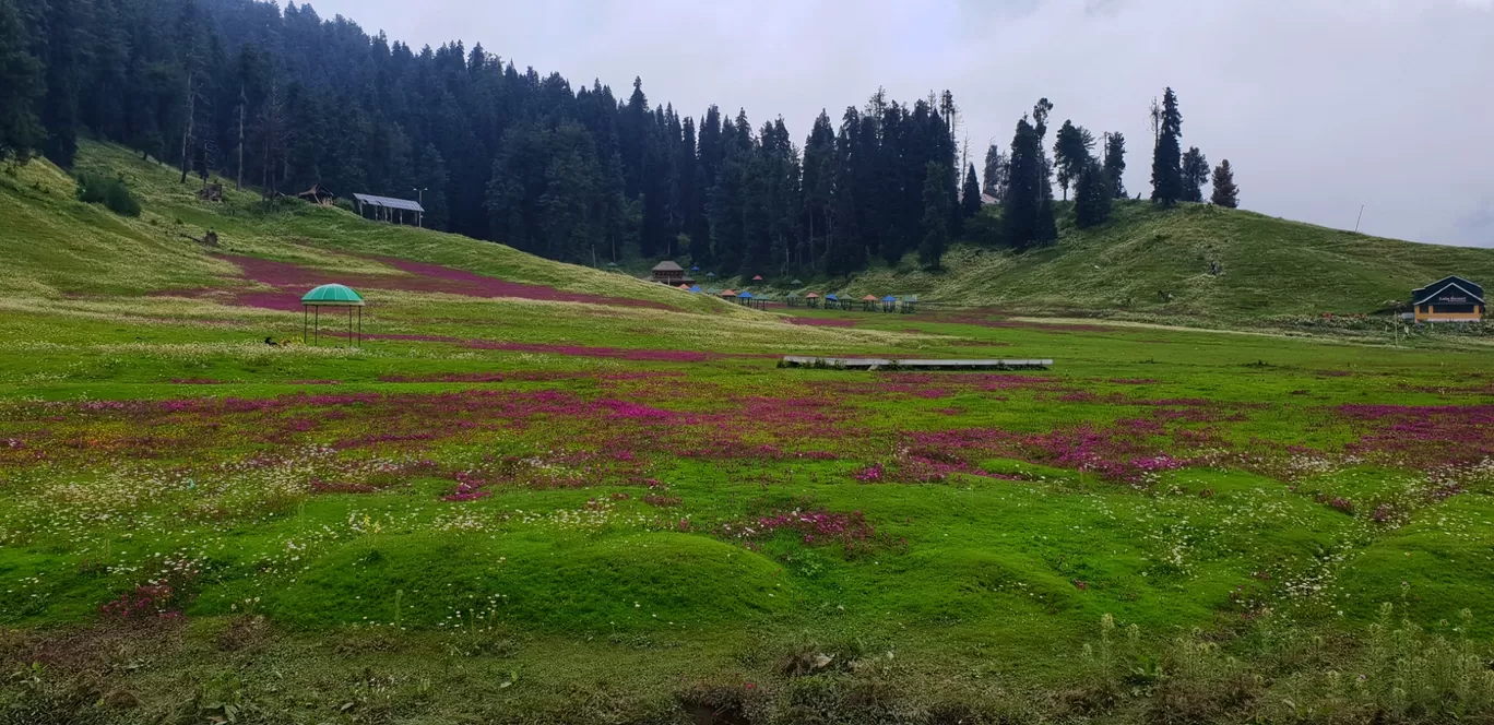 Photo of Gulmarg By Priyank Sharma