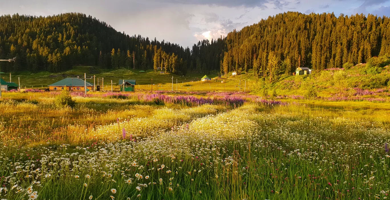 Photo of Gulmarg By Priyank Sharma