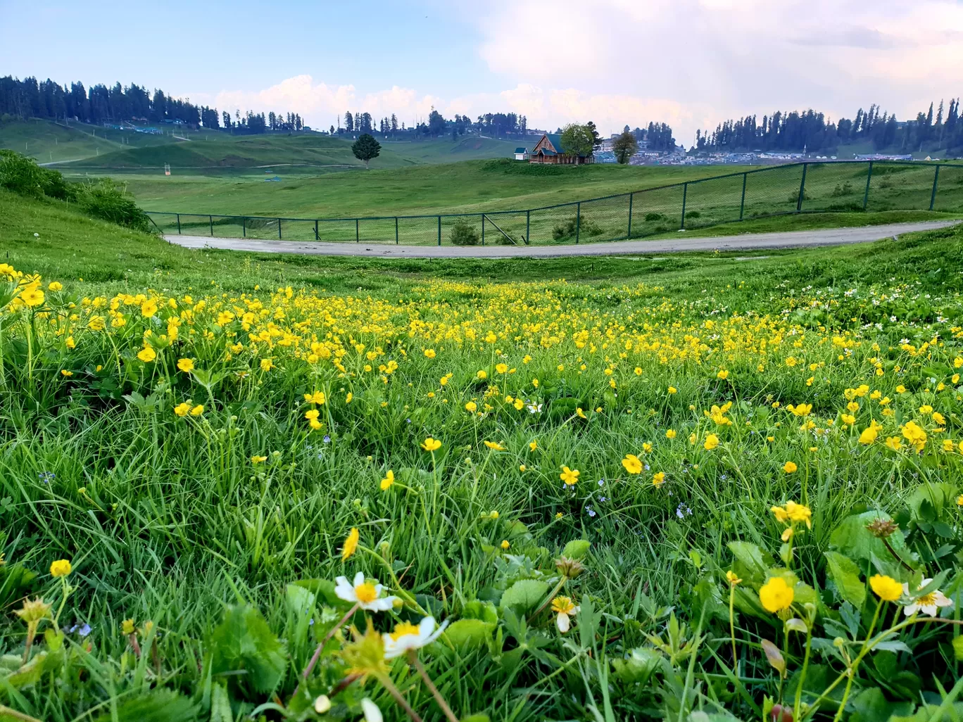 Photo of Gulmarg By Priyank Sharma