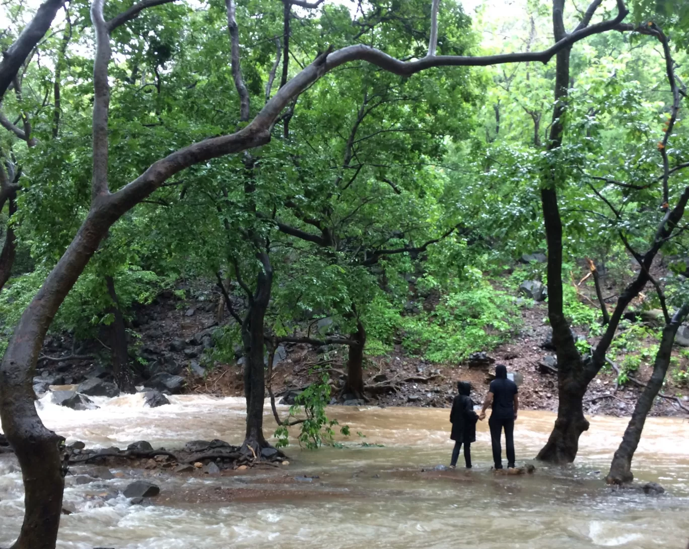 Photo of Tungareshwar Waterfall By Pradeep Ghora