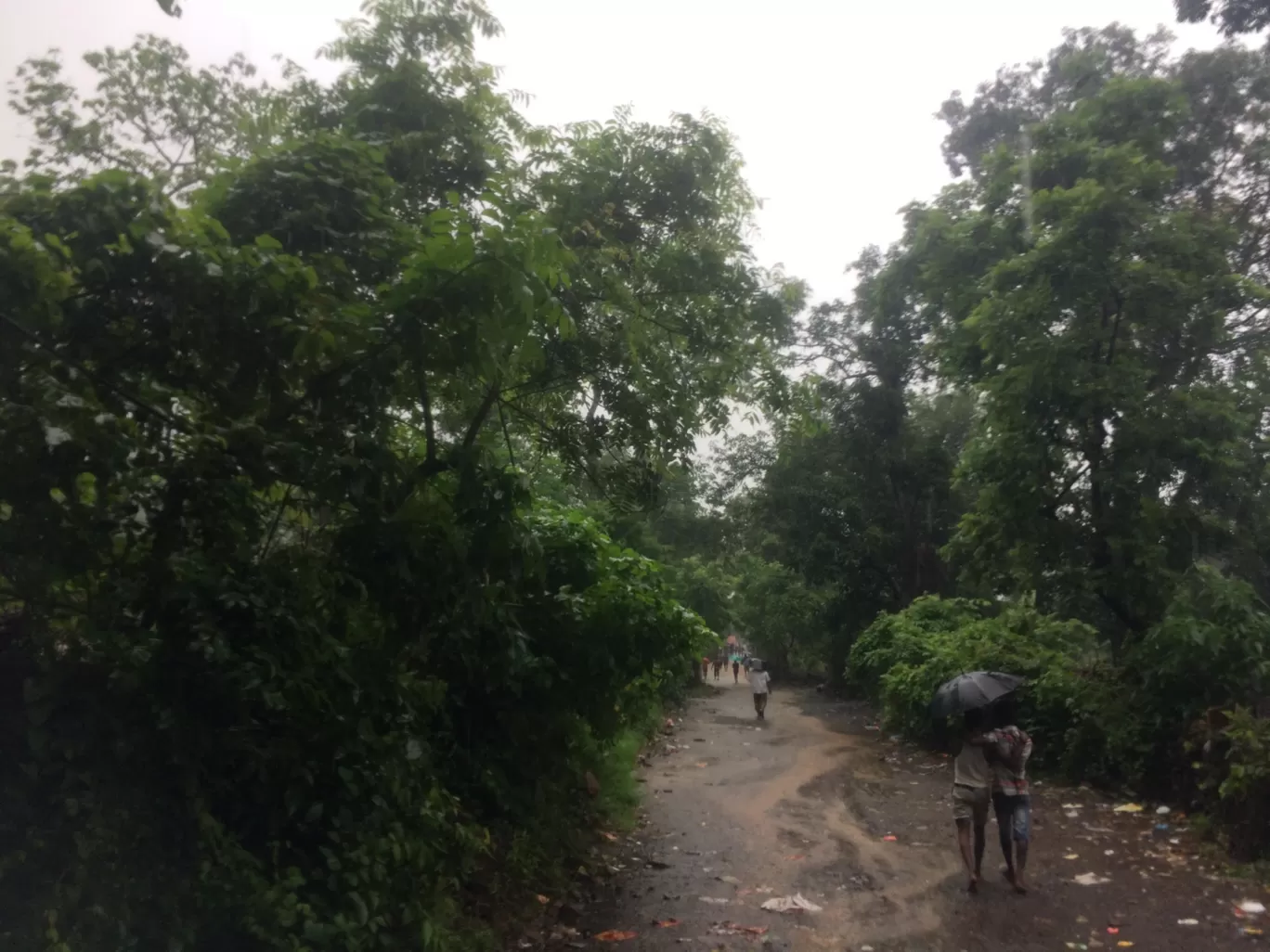 Photo of Tungareshwar Waterfall By Pradeep Ghora