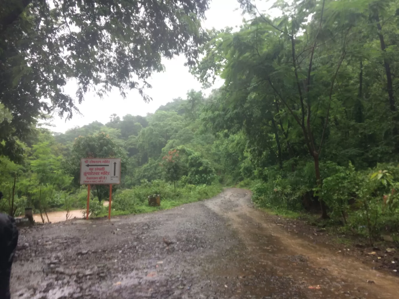 Photo of Tungareshwar Waterfall By Pradeep Ghora