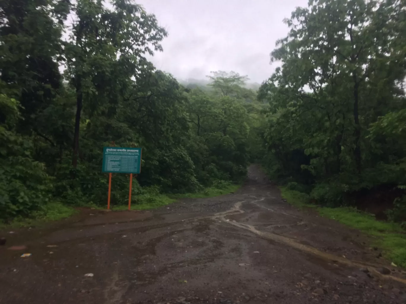 Photo of Tungareshwar Waterfall By Pradeep Ghora