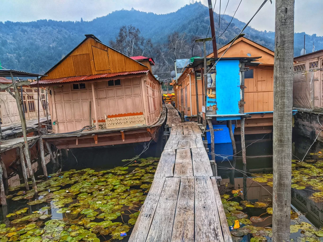 Photo of Dal Lake By Pradeep Ghora