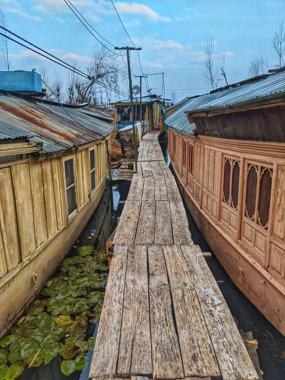Photo of Dal Lake By Pradeep Ghora
