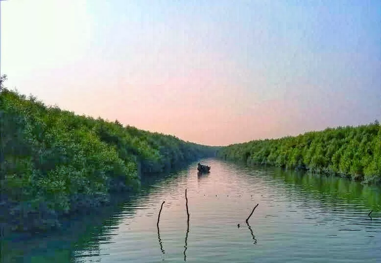 Photo of Sundarban By siblings on a voyage
