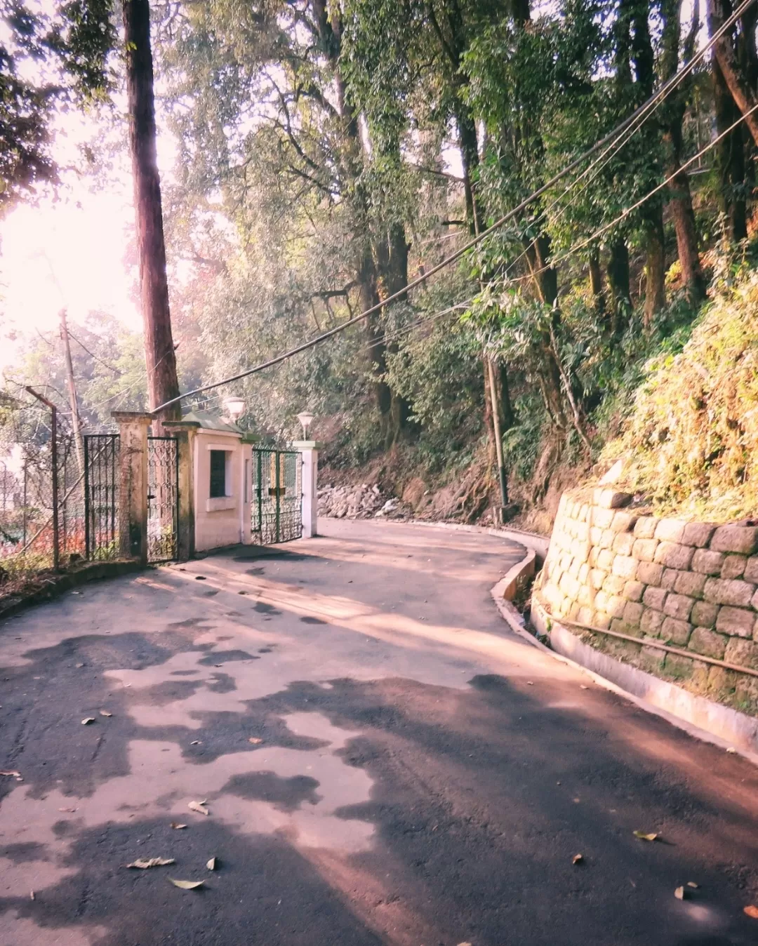 Photo of Darjeeling By siblings on a voyage