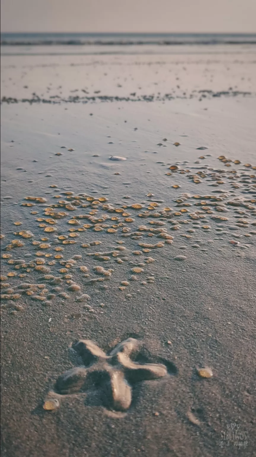 Photo of Mandarmani By siblings on a voyage