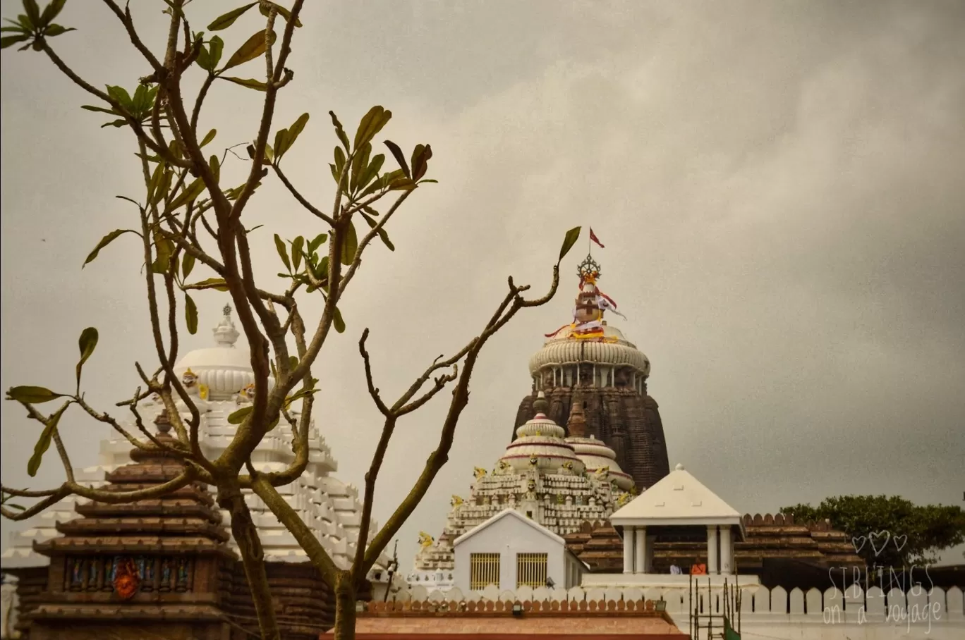 Photo of Puri By siblings on a voyage
