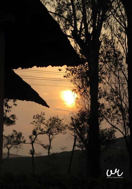 Photo of Taste of tea calling back By Vaishak RamaKrishnan