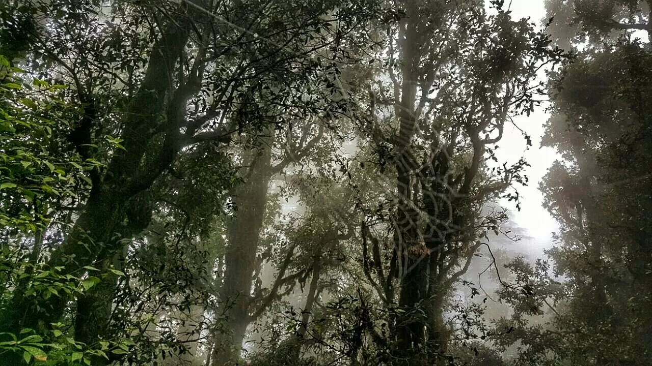 Photo of Himachal Pradesh By clark kent